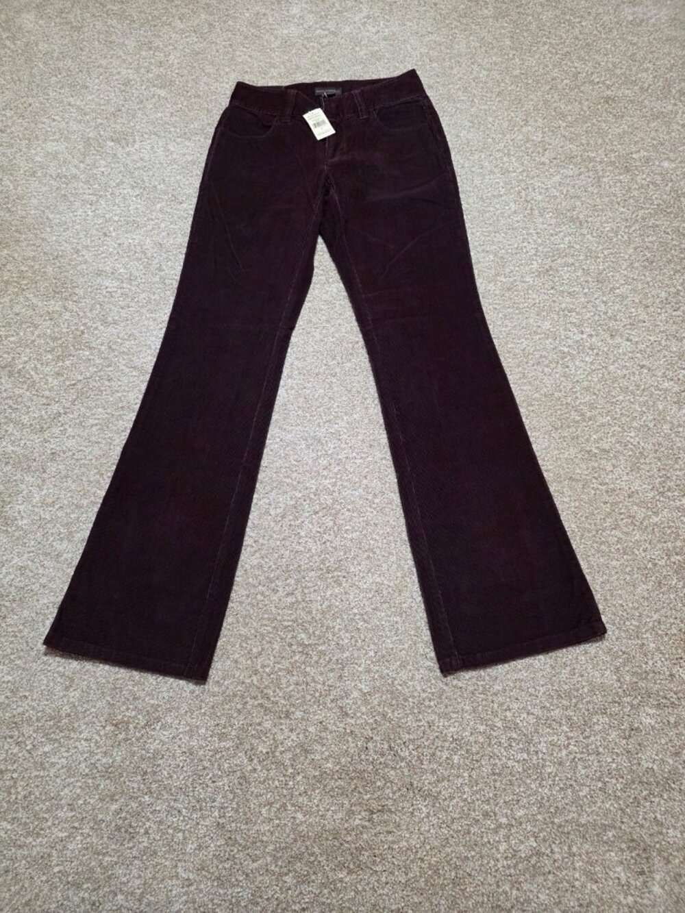 Banana Republic Women’s Purple Corduroy Straight Leg Work Pants Size 4